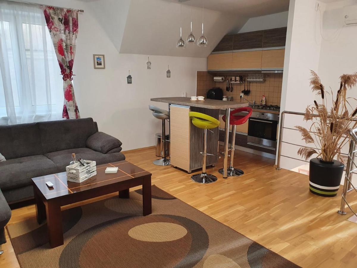 Smiley Apartment Sibiu Eksteriør bilde