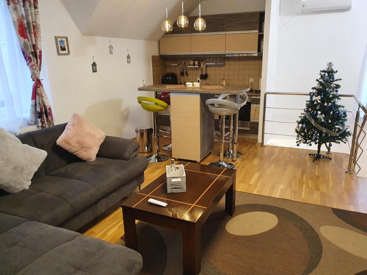 Smiley Apartment Sibiu Eksteriør bilde