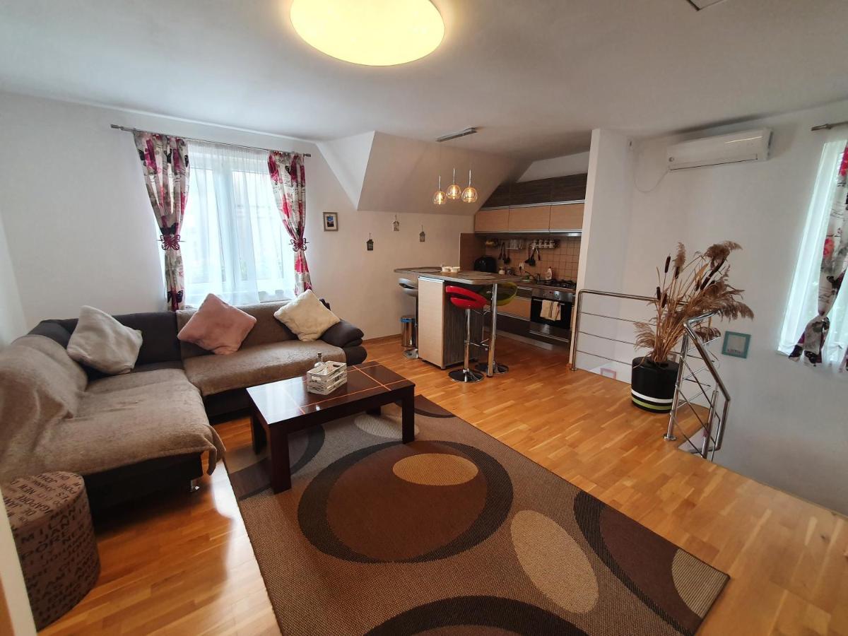 Smiley Apartment Sibiu Eksteriør bilde