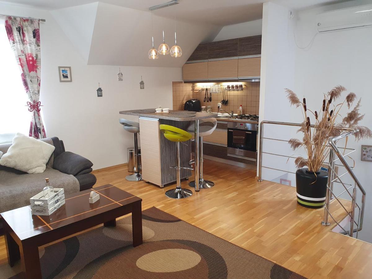 Smiley Apartment Sibiu Eksteriør bilde