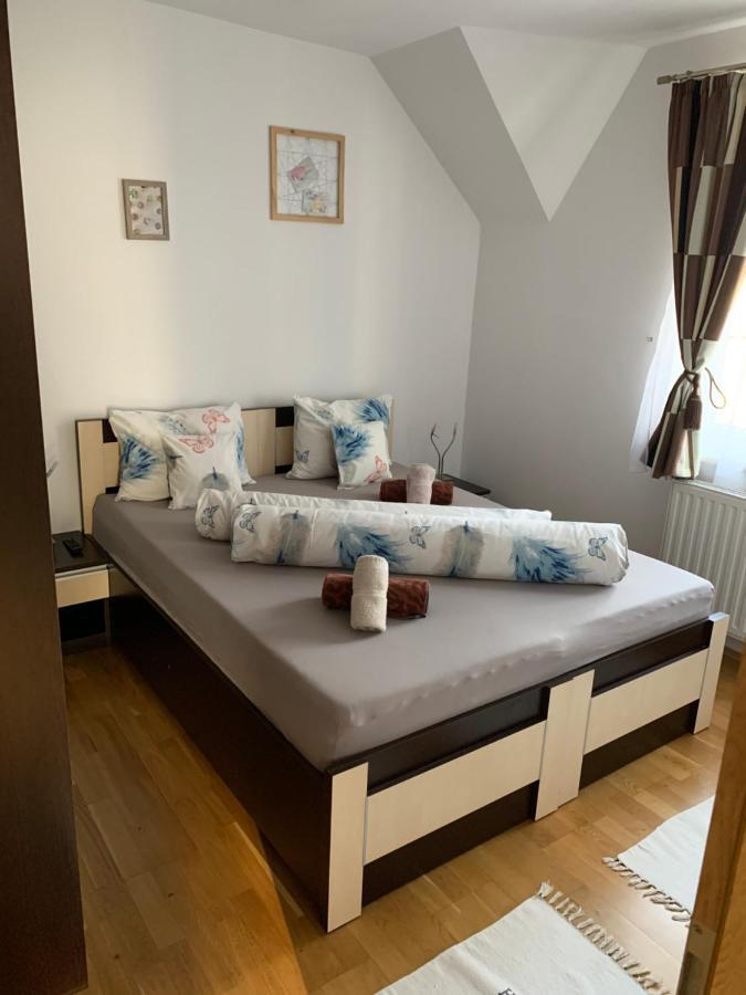 Smiley Apartment Sibiu Eksteriør bilde